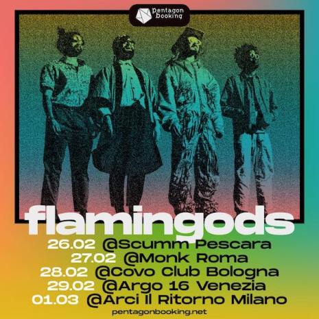 Flamingods